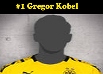 Gregor Kobel